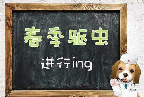 春季应该怎么驱虫